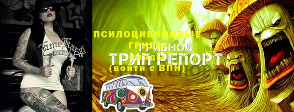 ALPHA PVP Корсаков