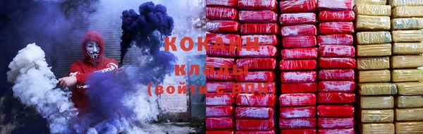 соль ск Коряжма